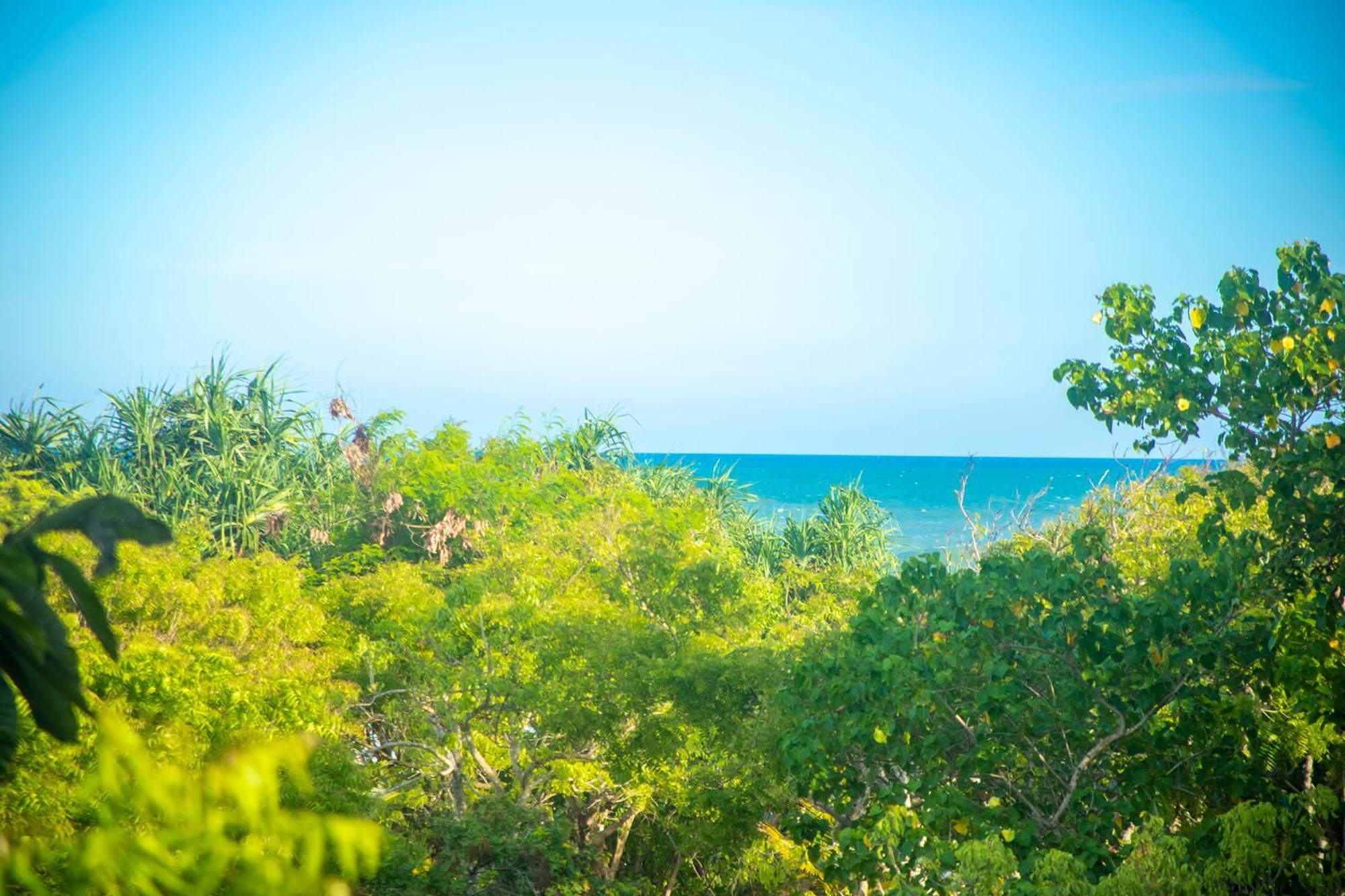 Nikara Luxury Beach House تيساماهاراما المظهر الخارجي الصورة